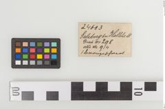 Etiketten zu Bronzeschwert (NHMW-PRAE-024603)